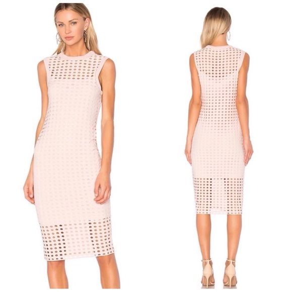 Alexander Wang Fitted Tank Midi Perforated Dress In Blush Pink - Picture 3 of 6